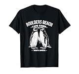 Cape Town Penguins Wildlife Lovers KZ