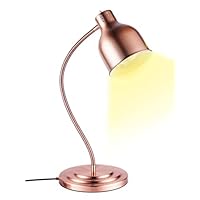 Amazon | JIAWANSHUN フードウォーマーランプ 250W 保温電球 360度
