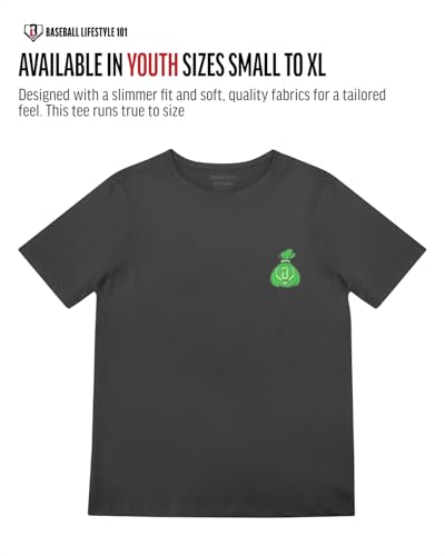 BL101 Youth Bag Chaser Baseball Graphic Tee for Boys - Gray, YM - image 3