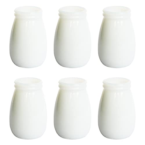 YANLING 6 Pack White Vase for Decor Small Ceramic Vase for Flowers