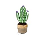 GD B0DK5DRS52 lato 2