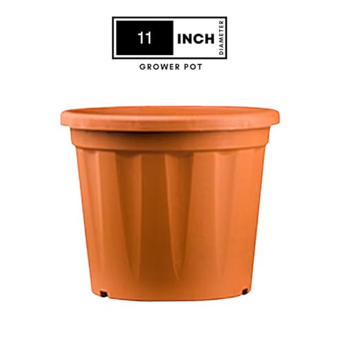 Image of 11 Inch Heavy Duty Plastic Planter | Grower Pot /Garden Pot for Home & Garden (Terracotta) (Pack of 6)