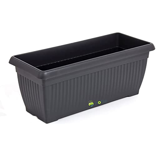 botle Fioriera gigante, da balcone, 60 x 24 x 24 cm, antracite