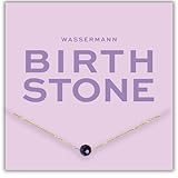 happymaker - Geburtsstein Kette, vergoldete Silberkette 925 mit echtem Amethyst, Geburtstein Februar, Wassermann Sternzeichen, handgefertigt und größenverstellbar, Geschenkverpackung