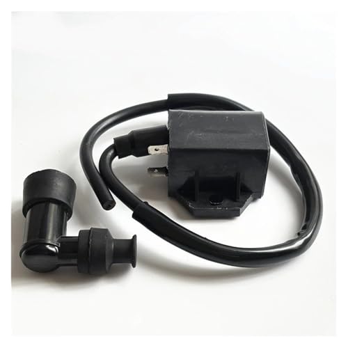 �C�O�j�b�V���� �o�C�N �p�� �X�Y�L 50cc 100cc AG V 50 100 �I�[�g�o�C�X�N�[�^�[�d�C�_�΃R�C�� AG100 V100 AG50 �X�y�A�p�[�c