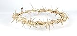 AUTHENTIC DESIGN: Hand-crafted 6-inch crown of thorns made from genuine vine stems, carefully woven to create a historically inspired religious accent piece ORIGIN: Crafted in Israel using thorny stems from the Euphorbia Milli plant, native to the Je...