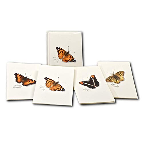 Image of Earth Sky + Water - Western Butterfly Assortment I Notecard Set - 8 Blank Cards with Envelopes (2 each of 4 styles)