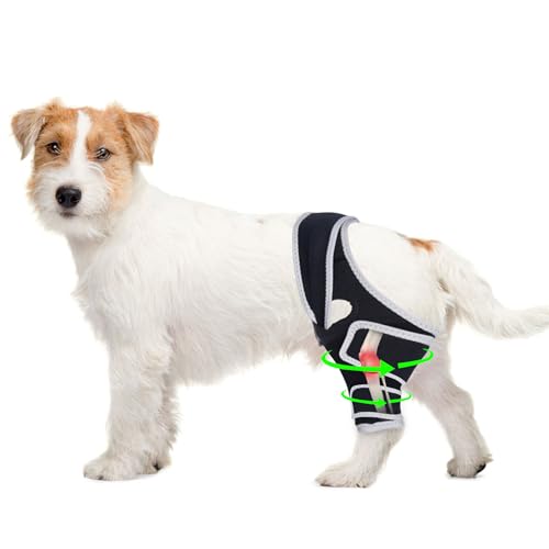 Furtent torn ACL hind leg knee brace image
