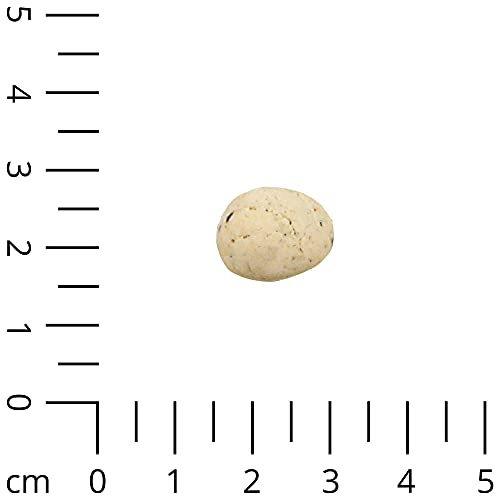 Schecker Hundekekse - 2 kg Drops mit Strauß - ideal für Spaziergänge und Training