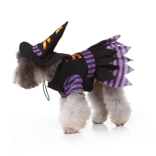 Disfraz Halloween para perro tamaño S