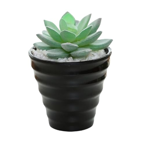 QUXVUIS AؔtlH~ O   V~[V A PVC ~jA z[ EFfBO ItBX fXNgbv, Type2