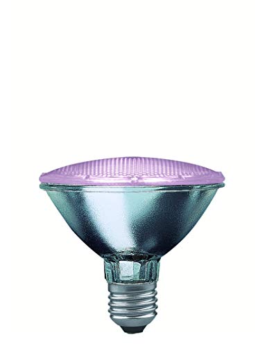 Preisvergleich Produktbild Paulmann Halogen Alu Pflanzenlampe PAR30 75W E27 230V 9