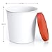 BALCI - Premium Ice Cream Containers (2 Pack - 1 Quart Each) Perfect Freezer Storage Tubs with Lids for Ice Cream, Sorbet and Gelato! - Red