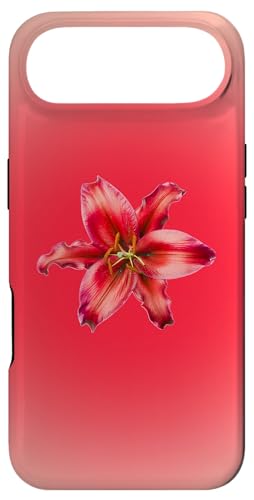 bh^CK[[vbs[bhT}[I[Iu X}zP[X iPhone Air p