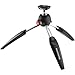 Manfrotto MTPIXIEVO-BK, PIXI EVO 2-Section Mini Tripod for Mirrorless Cameras, Compact System Cameras, DSLR, Video, Compact Size, Aluminum, Black