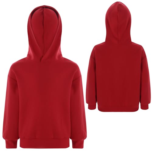 Boys and Toddlers' Pullover Hoodie Solid Color Hooded Sweatshirt Long Sleeve Casual Tops