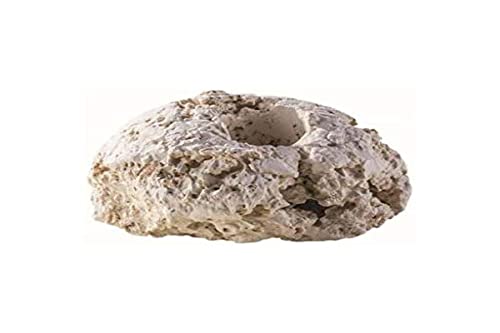 ARKA Riffkeramik Ablegersteine Klein-handgefertigte Riffkeramik zur Verwendung jedem Meerwasser Aquarium,für Korallen-Ableger,aus 100 % natürlichen Rohstoffen,Schadstofffrei,10 Stück Cover