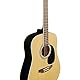 SPENCER BY EKO SA-10 Natural Akustikgitarre Natural Top Fichte Stirnbänder und Boden Linde Griff Okoumè Tastatur Roupanà