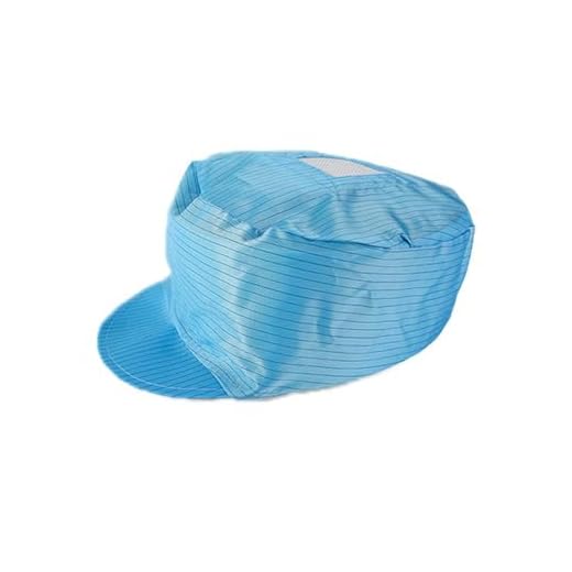 Anti-Static Dust Cap for Clean Room Workshop Safety Helmet Unisex Food Service Hat Blue White Pink Yellow(blue)