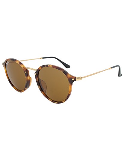 Ray-Ban Round Sunglasses RB2447 1160 49-21-145, Tortoise/Gold Frame / Brown Classic B-15 Lenses2