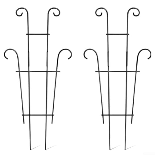Lot de 2 supports de plantes robustes pour cultiver des monsteras, pothos, lierre dans votre jardin