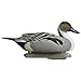 Higdon Outdoors Battleship Pintail Duck Decoys | Unsinkable with Swivel Heads & Weighted Keels | High-Contrast Visibility| Durable & Easy-Set Floating Design | Foam Filled | 6pk