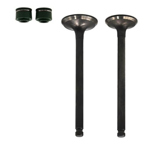Supprimer le claquement moteur de VT250 avec ce kit de bielle