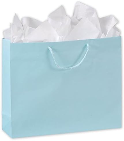 EGPChecks Retail Shopping Bag Qty 100 Size 16 x 4 3/4 x 13