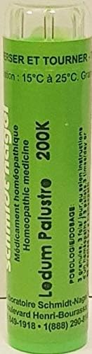 Ledum Palustre 200K, Schmidt-Nagel Canada (Homeodel)