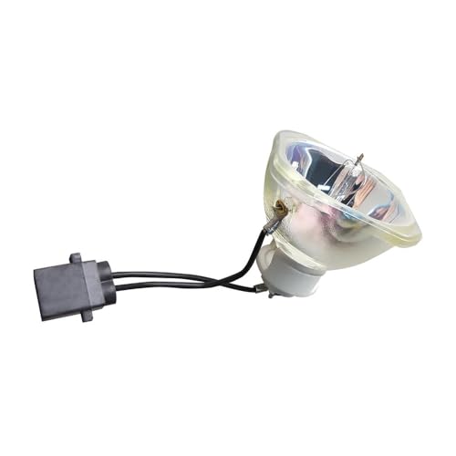 Lampe de projecteur EB-1975W EB-1980WU éclat lumineux durable