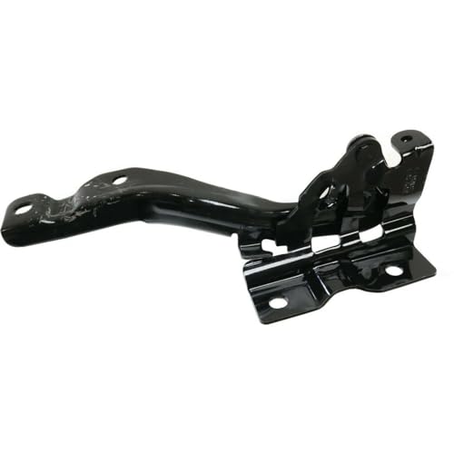 VIRAZE 2pcs Hood Hinges Set Assembly Left Driver and Right Passenger Side Pair 14141054 KI1236125 791201W000