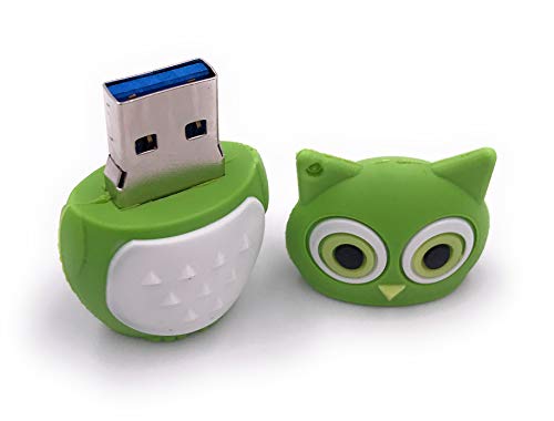 Clé USB 3.0 chouette verte contre la perte de vos données importantes - 2
