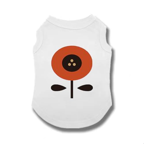 [QINTIW]  EFA ybg Ck Vv 6F I[_[Ch ʐ^ Vc ӂӂ _炩 U  t zCg  H K іh~ [EFA p S t@bV^ tH~ Lp ybgp