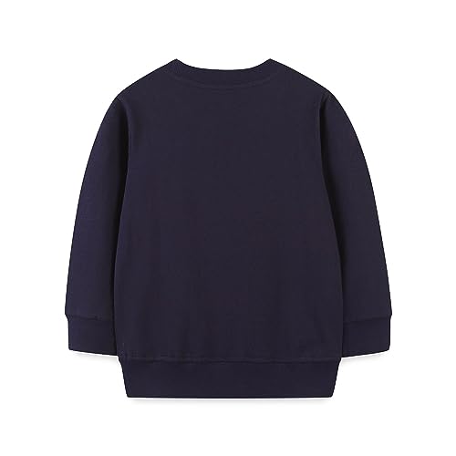 Boys Sweatshirts Casual Sweatshirts Cotton Sweatshirts Long Sleeve T-shirts Crew Neck Cartoon Tops for Boys-4212