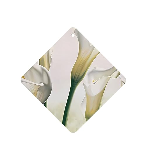 Beauty Flowers ԗpF p[\iCYꂽXCX J[A}Zs[^ubg ݂艺F܃J[h [vt 4 ԂƂ̑p