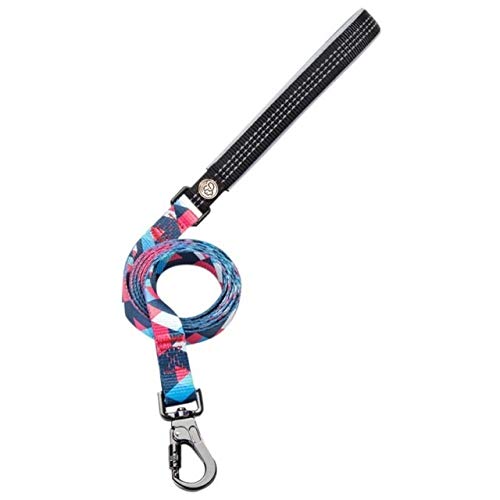Collier de chien confortable et laisse pour renforcer votre complicité