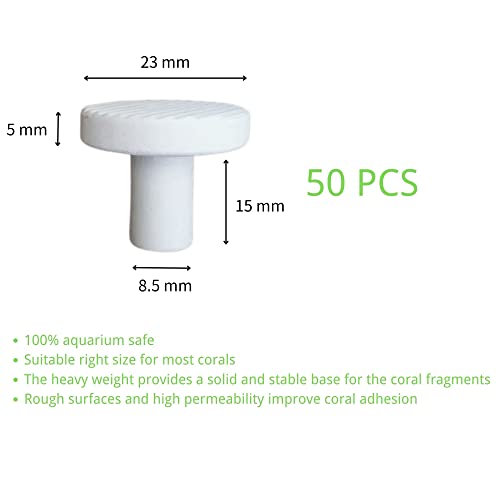 Image of Coral Frag Plugs 50 Pcs Ceramic Coralline Frag Plug Round Base