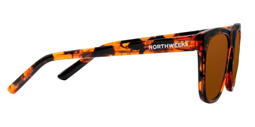 Northweek Harvey Tortoise Gafas, Marrón, Adulto Unisex Adulto