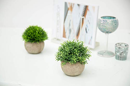 Velener 2Pcs Mini Artificial Boxwood Topiary Faux Plants Indoor- Small Fake Plants Decor Magnolia Home Office Desk Cubicle Farmhouse Kitchen Bookshelf Bedroom Bathroom Decor, Aloe Vera Zen Garden #TOP4