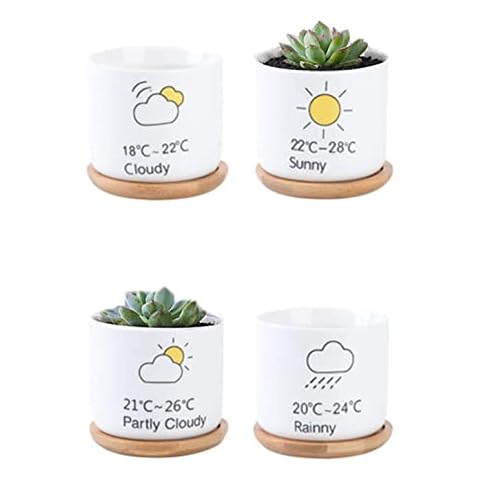 Youfui Creative Planters/Garden Pot/Cactus Plant Holder Ceramic Succulent Pots Bonsai Desk Home Office Mini Ornament -4pcs Weather Forecast, Cloudy/Sunny/Partly Cloudy/Rainny Cover