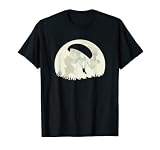Gleitschirmfliegen Vollmond Nacht Flug Paragliding T-Shirt