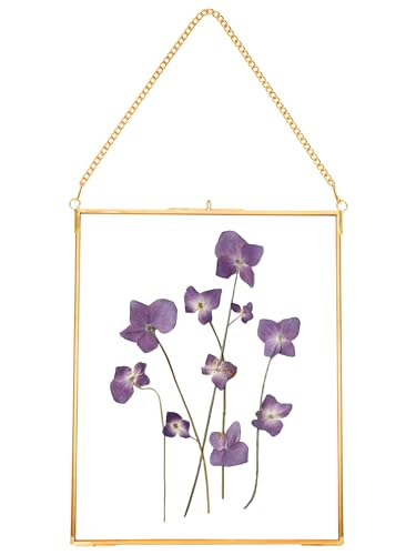 REDHUGO Hanging Pressed Flower Frames, Double Glass Floating Picture Frame Handmade