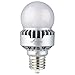 LED Bulb,Mogul Screw (EX39),3000K,25W