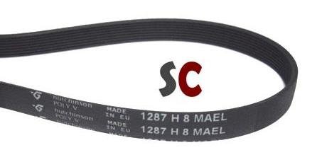 Cinghia Ricambio Elettrodomestici Cintura Di Ricambio Per Lavatrice Hotpoint/Creda - Compatibile Con Modello 144002155 (Contitech 7PHE 1860) Cinghia Ricambio Per Lavatrice 144002155 - Foto 2