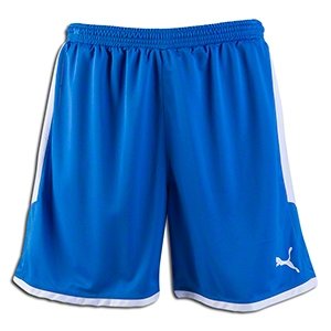 Puma Kids' Borussia Dortmund Shorts