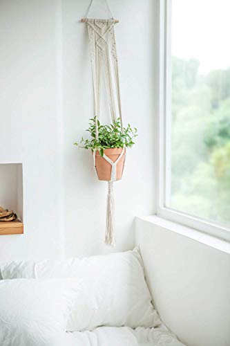 Saaz Macrame Plant Hangers Set of 4 Indoor Wall Hanging Planter Basket Flower Pot Holder Boho Home Decor Gift Box
