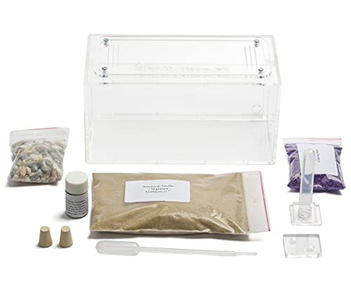 AntHouse - Natural Sand Ant Farm | Acrylic Starter Kit 7.87 x 3.94 x 3.94 in - Image 4