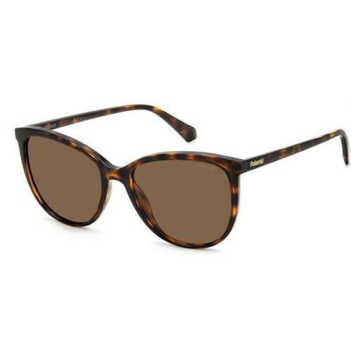 POLAROID Brille PLD 4138/S Größe 55-18 mm Havana polarisiert – Ansicht 1
