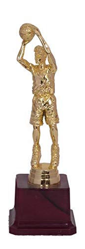 Be Win Trophies Fiber Golden Basket Ball Trophy (B08256CDK3) Amazon Price History, Amazon Price Tracker