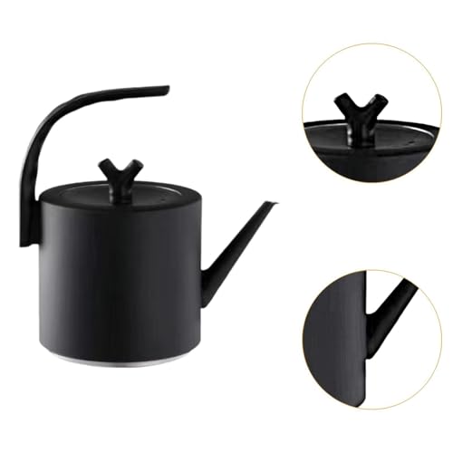 Bouilloire en acier inoxydable noir durable et verseuse de précision